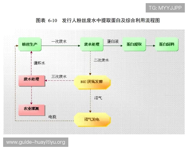 浩瀚体育国际站在体育行业中的品牌影响力与合作伙伴关系分析